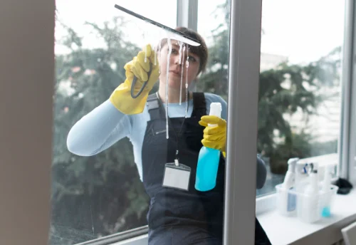 Nettoyage de vitres intérieures et extérieures à Seuil